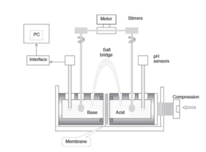 Science Behind FGX3