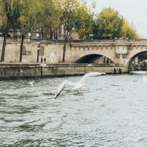 Water Treatment for Rivers & Canals